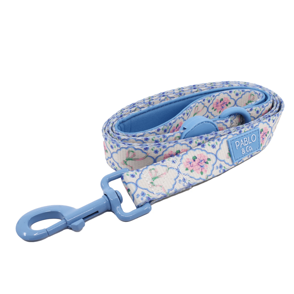 Pablo & Co Petal Dog Leash - Leashes & Leads from Pablo & Co at DoggyTopia