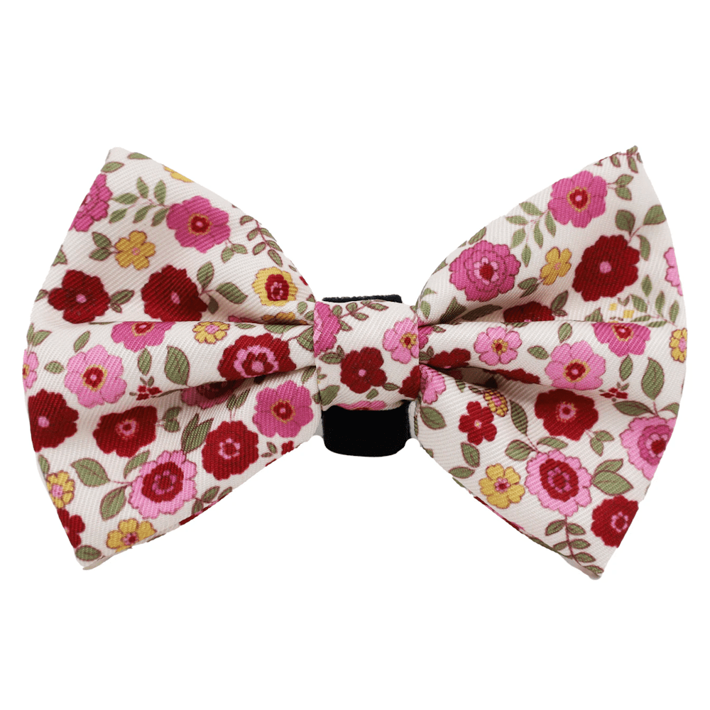 Pablo & Co Primrose Bow Tie - Bow Ties from Pablo & Co at DoggyTopia