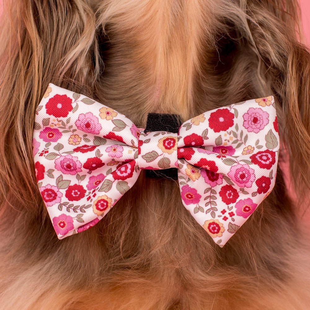 Pablo & Co Primrose Bow Tie - Bow Ties from Pablo & Co at DoggyTopia
