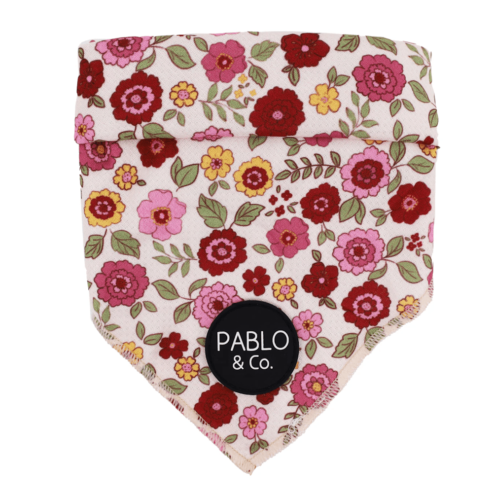 Pablo & Co Primrose Dog Bandana - Bandanas from Pablo & Co at DoggyTopia