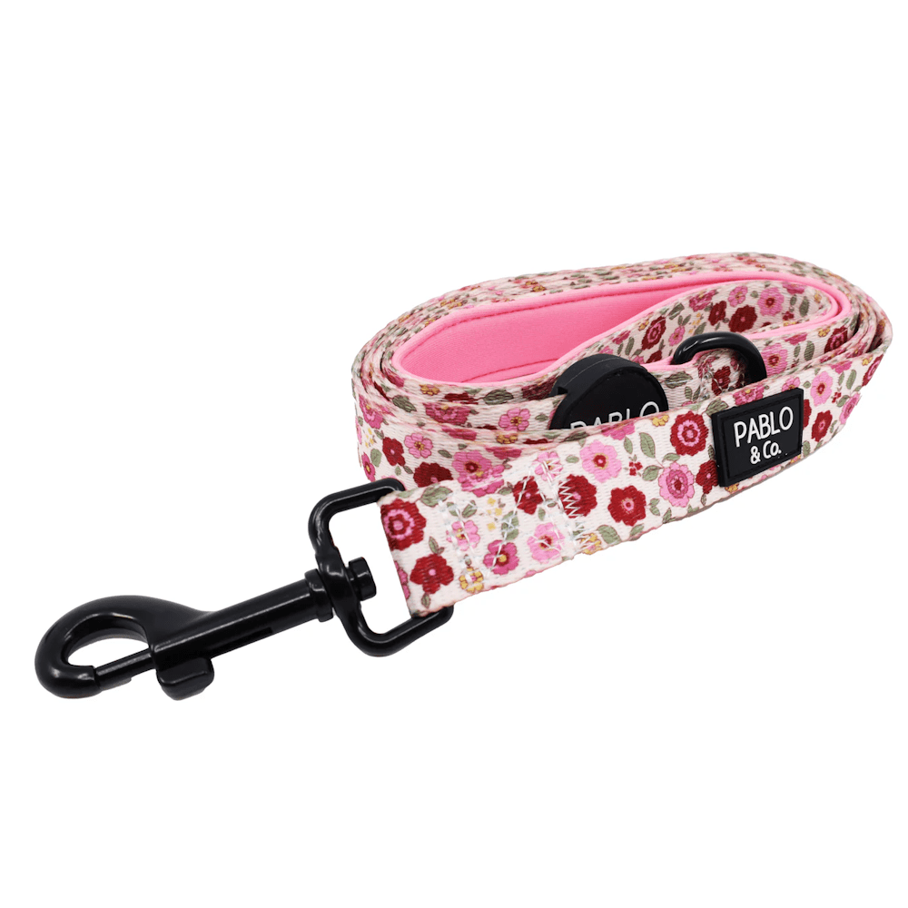 Pablo & Co Primrose Dog Leash - Leashes & Leads from Pablo & Co at DoggyTopia