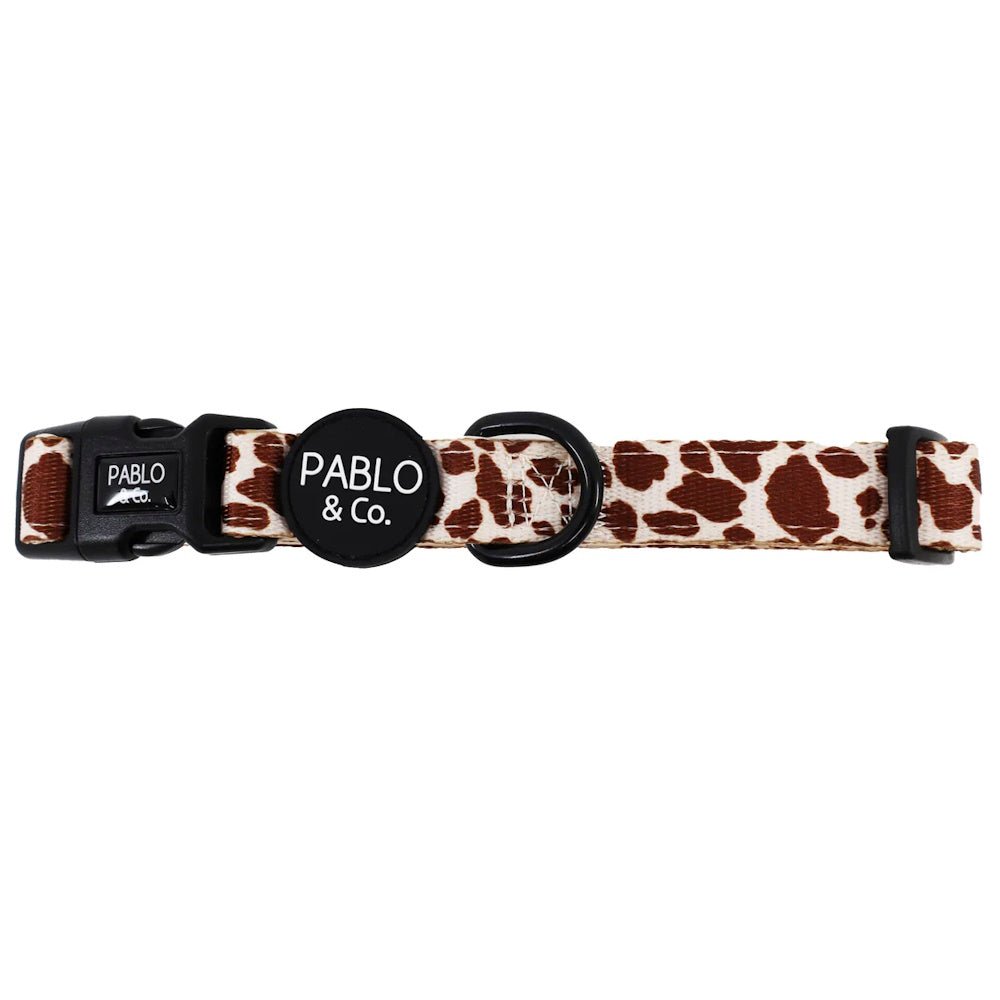 Pablo & Co Rodeo Dog Collar - Collars from Pablo & Co at DoggyTopia