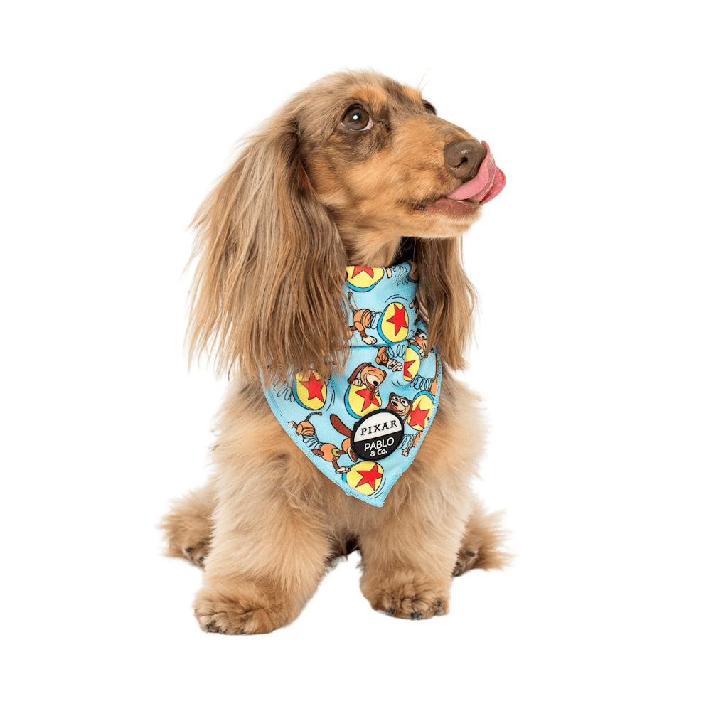 Pablo & Co Toy Story - Slinky Dog: Bandana - Bandanas from Pablo & Co Disney at DoggyTopia