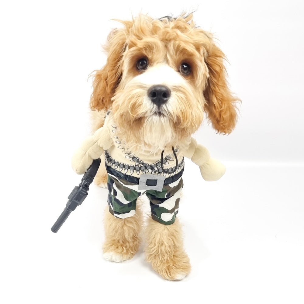 Rambo Dog Costume - Costumes from Sale at DoggyTopia