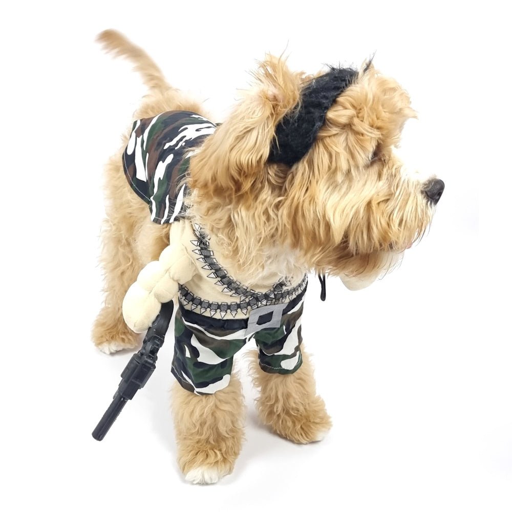 Rambo Dog Costume - Costumes from Sale at DoggyTopia