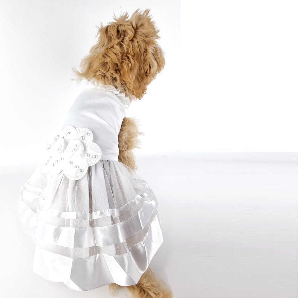 Rosetta Wedding Dog Dress - Dress from . at DoggyTopia