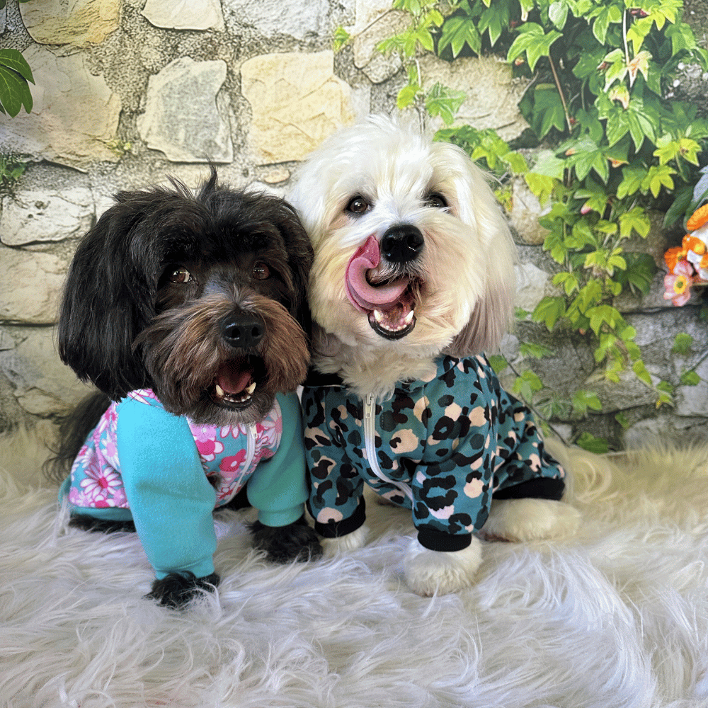 Spot On Leopard Zip Hoodie - Hoodies from Sale at DoggyTopia