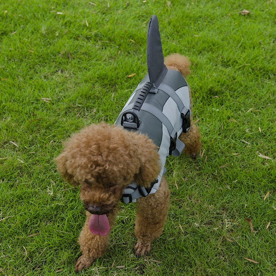 DoggyTopia
