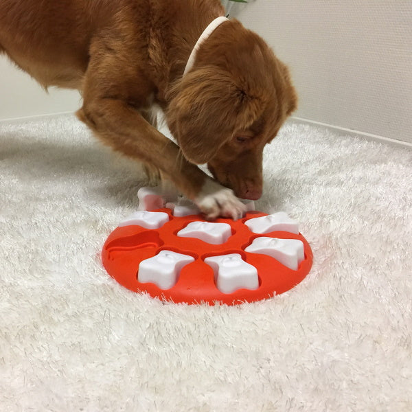 DoggyTopia
