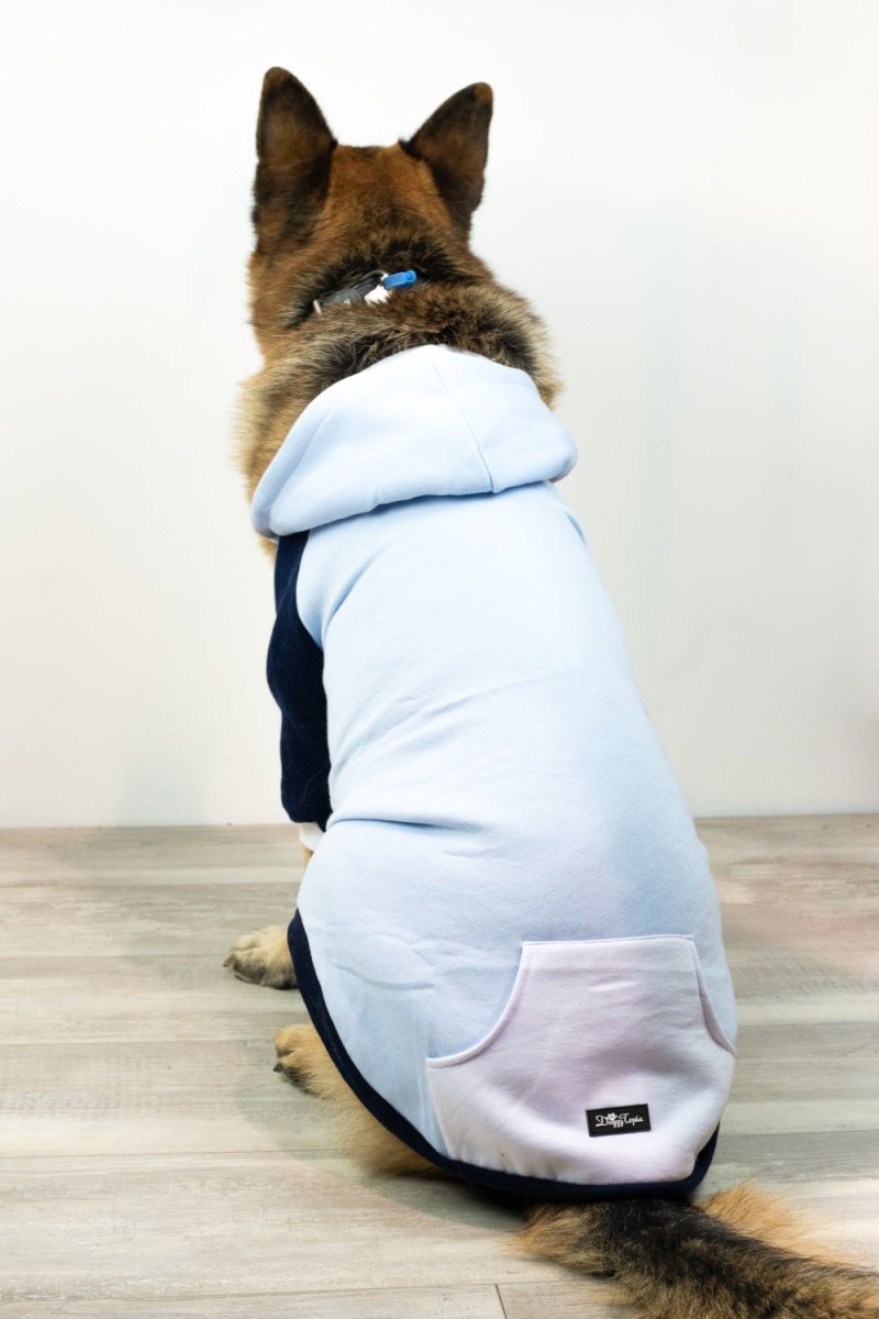 Active Zip Hoodie - Blue - Hoodies from Sale at DoggyTopia