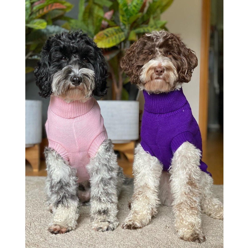 Cable Knit Jumper - Grape - Knit Jumpers from DoggyTopia at DoggyTopia
