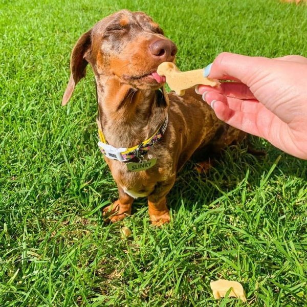Dachshund Silicone Mould - Moulds from . at DoggyTopia