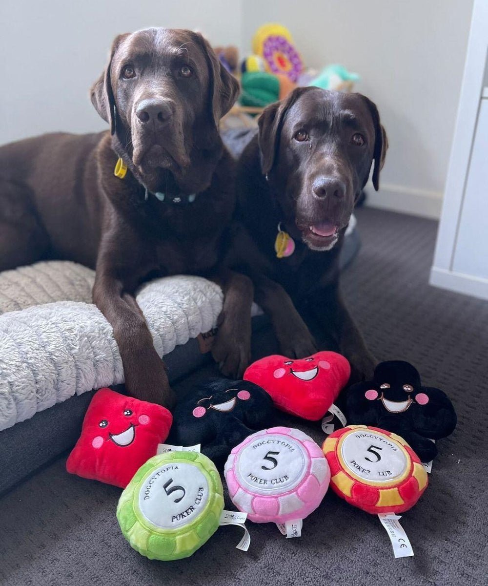 DoggyTopia Poker Club - Diamond Dog Toy - Plush Toys from Sale at DoggyTopia