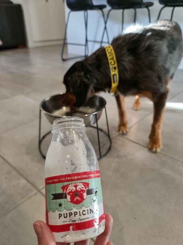 L'Barkery Puppicino Shaker + Pre Mix - Beverages from L'Barkery at DoggyTopia