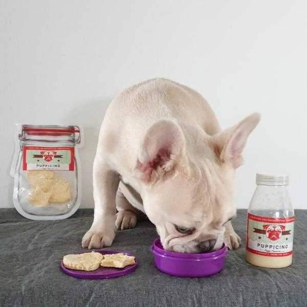 L'Barkery Puppicino Shaker + Pre Mix - Beverages from L'Barkery at DoggyTopia