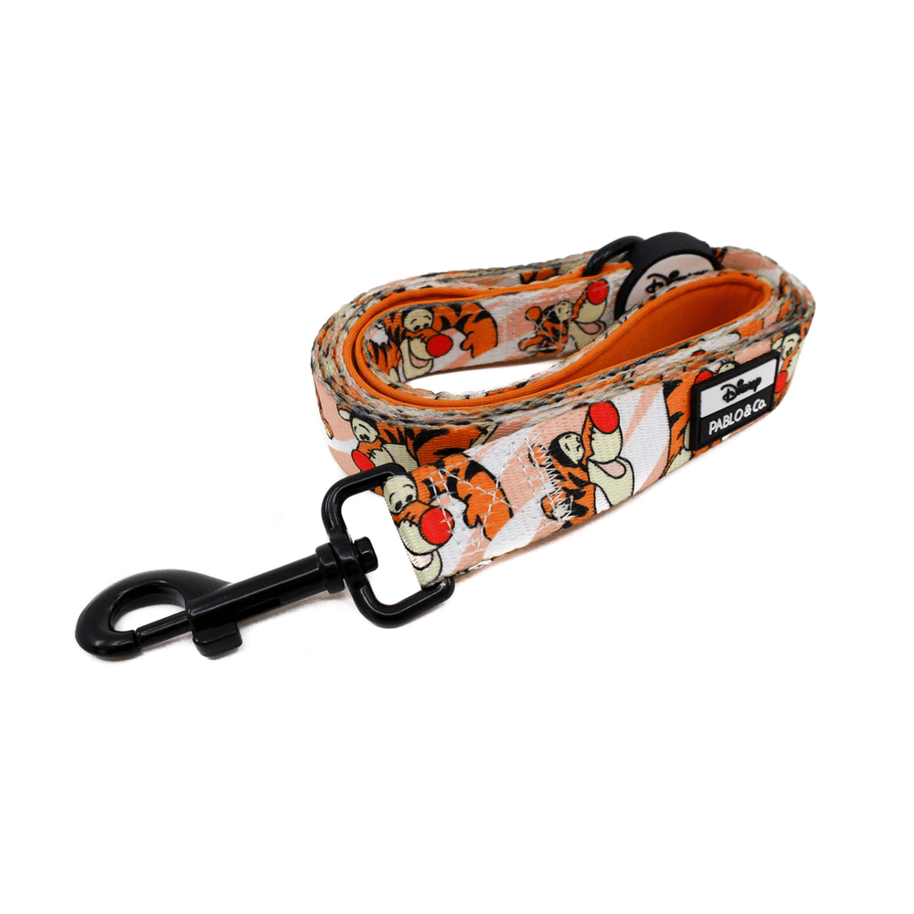 Pablo & Co One of a Kind Tigger: Dog Leash - Leashes & Leads from Pablo & Co Disney at DoggyTopia