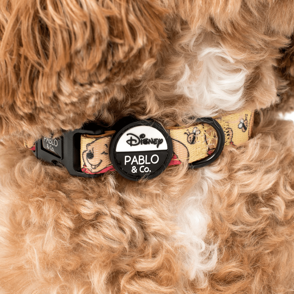 Pablo & Co Winnie the Pooh & Bee's: Dog Collar - Collars from Pablo & Co Disney at DoggyTopia